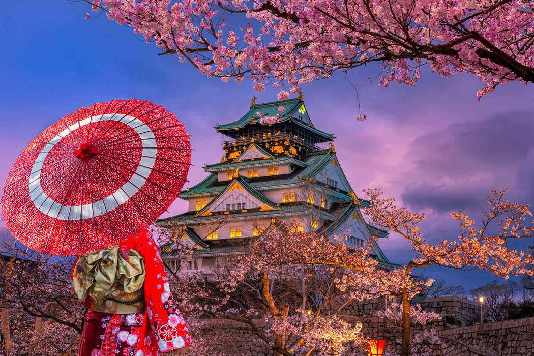 JAPONYA TURU - 05-15 Ekim